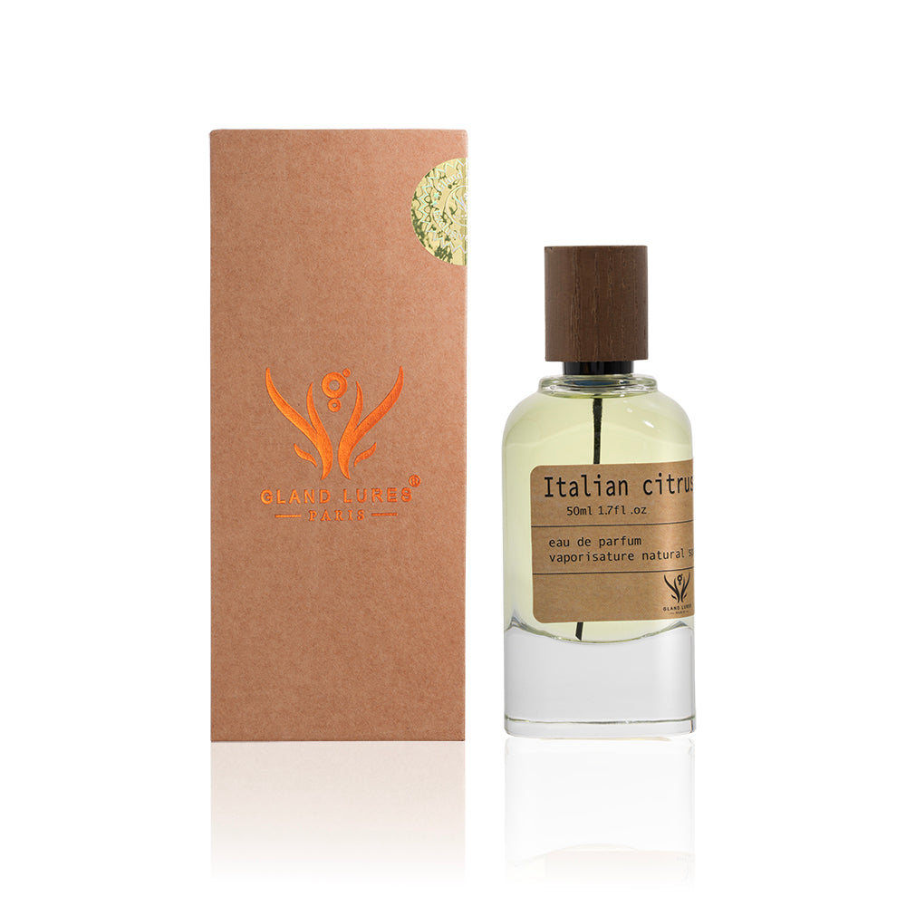 Perfume bottle with wooden cap and brown box featuring a logo on a white background