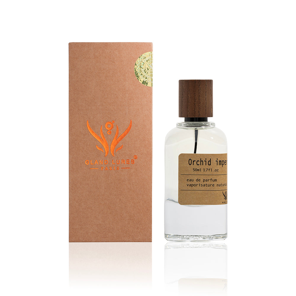 Perfume bottle with wooden cap and brown packaging on a white background